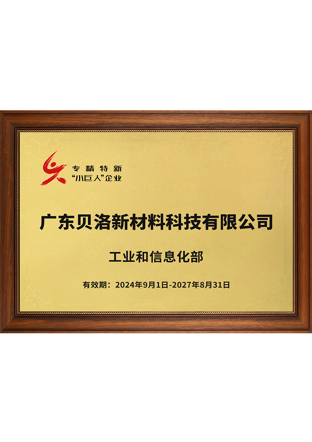 國家級專精特新&ldquo;小巨人&rdquo;企業